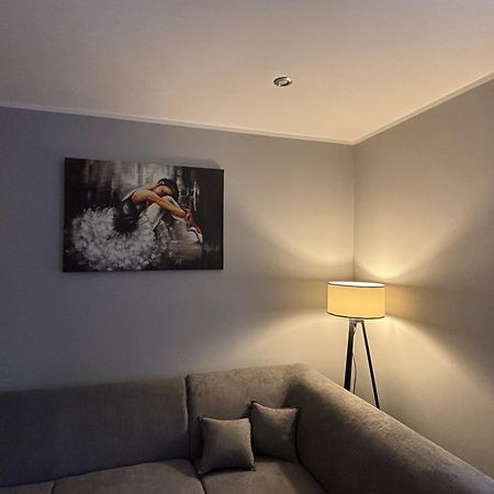 Apartament U Wojtusia Строне-Шльонське Екстер'єр фото